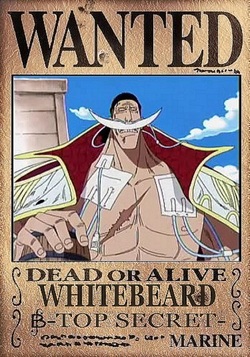 Whitebeard One Piece
